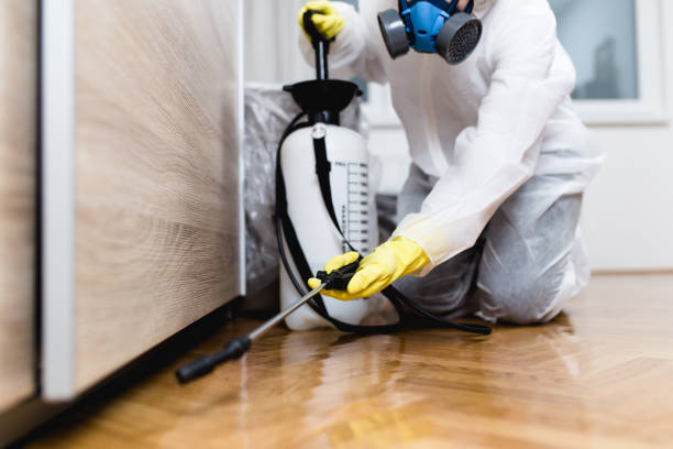 Trusted Wilkes Barre, PA Pest Control Experts