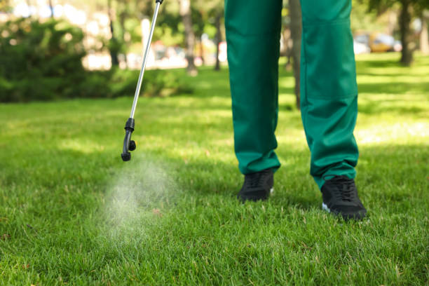 Best Insect Control  in Wilkes Barre, PA