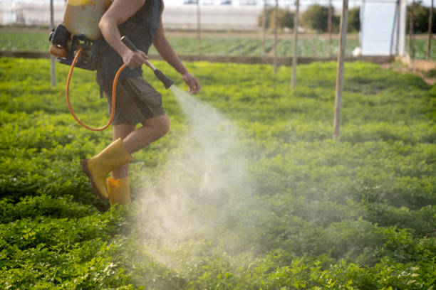 Best Best Pest Control Companies  in Wilkes Barre, PA