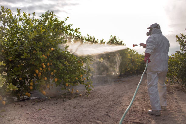Best Mosquito Control Services  in Wilkes Barre, PA