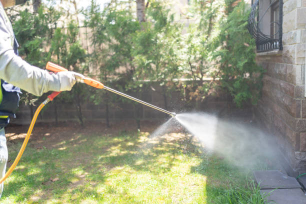 Bird Control in Wilkes Barre, PA