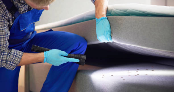 Best Cockroach Control Services  in Wilkes Barre, PA