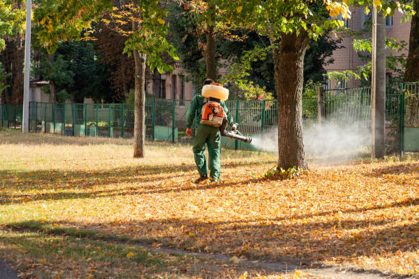 Best Rodent Control Near Me  in Wilkes Barre, PA