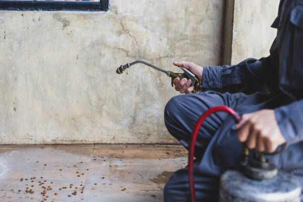 Best Local Pest Control Services  in Wilkes Barre, PA